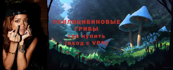 мет Ельня