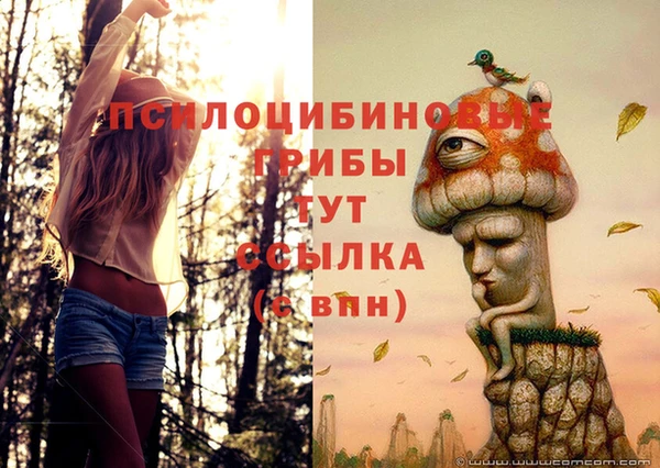 mdma Дмитриев